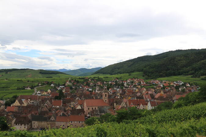 Die Kleinstadt Riquewihr ist umgeben von grünen Hügeln.