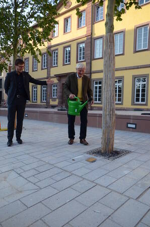 Ernst Messerscheid pflegt dem ihm gewidmeten Baum