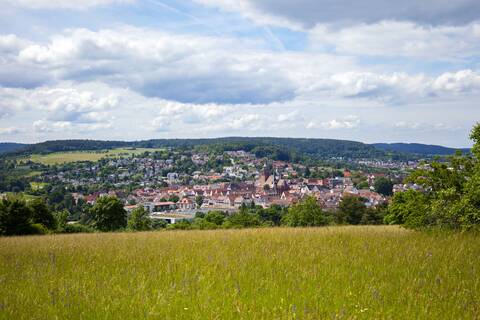 Blick auf  Weil der Stadt von Schafhausen